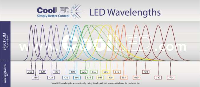 LED illumination | CoolLED pE-100 | Laser 2000