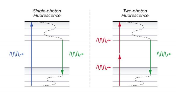 2. Two photon introduction image
