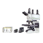 Upright Time-resolved Fluorescence Microscope