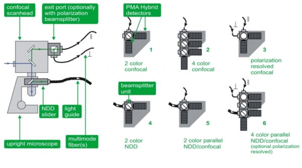 Schematic overview about possible detection options for an upright microscope