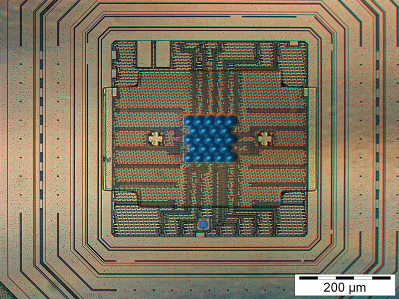 microarray_chip.jpg