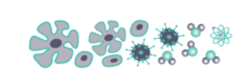 mm-microscopy