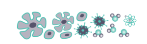 mm-microscopy